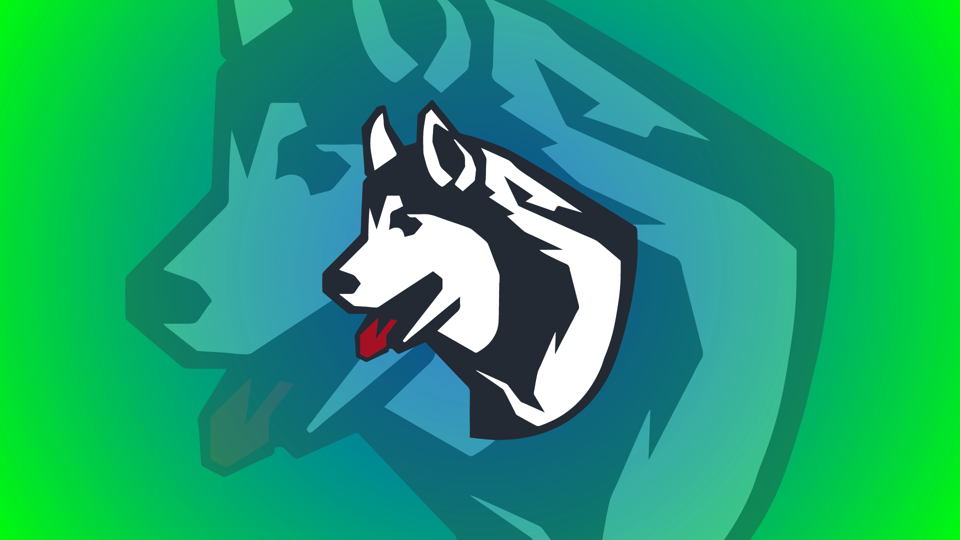 Husky logo times two on a blue to green gradient background.